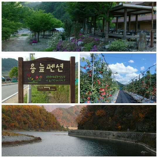 (사진제공=용늪펜션)